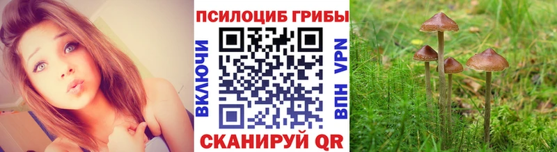 Псилоцибиновые грибы Psilocybine cubensis  МЕГА ссылки  Сорск 